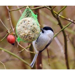 Foderkugler til Havens Fugle med net 100 stk